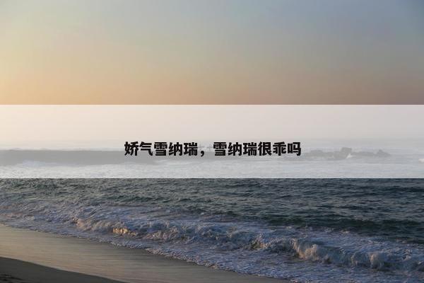 娇气雪纳瑞，雪纳瑞很乖吗