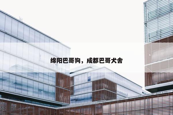 绵阳巴哥狗，成都巴哥犬舍