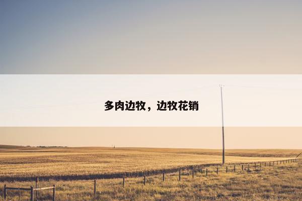 多肉边牧，边牧花销