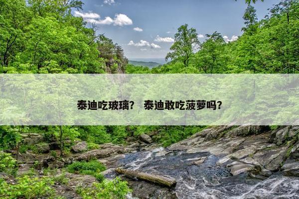 泰迪吃玻璃？ 泰迪敢吃菠萝吗？