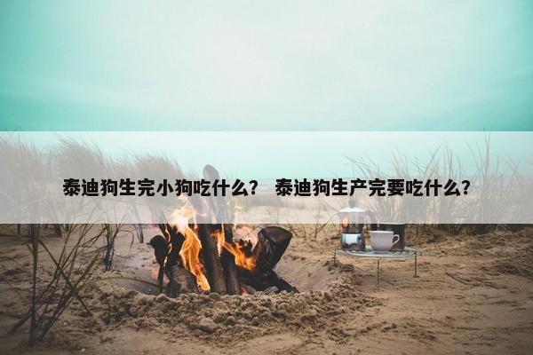 泰迪狗生完小狗吃什么？ 泰迪狗生产完要吃什么？