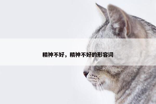 精神不好，精神不好的形容词