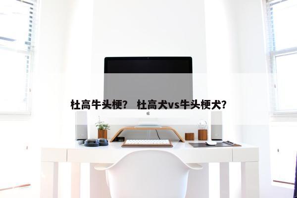 杜高牛头梗？ 杜高犬vs牛头梗犬？