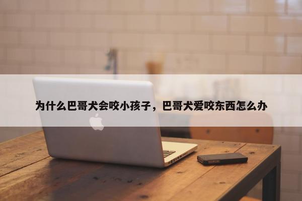 为什么巴哥犬会咬小孩子，巴哥犬爱咬东西怎么办