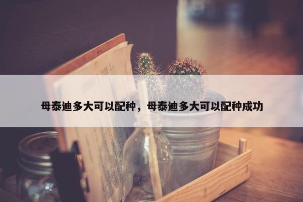 母泰迪多大可以配种，母泰迪多大可以配种成功
