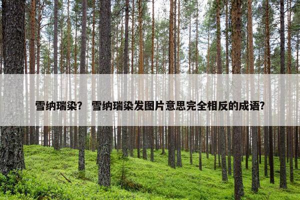 雪纳瑞染？ 雪纳瑞染发图片意思完全相反的成语？