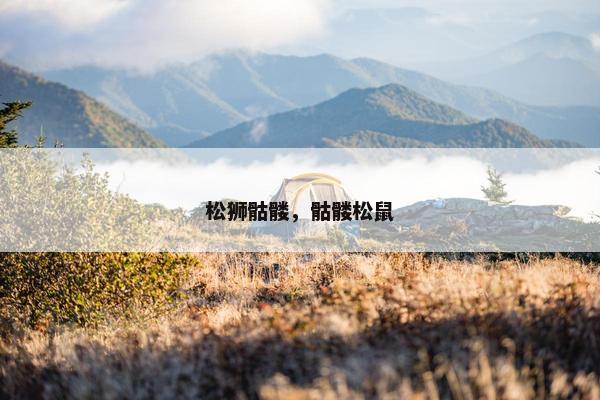 松狮骷髅，骷髅松鼠