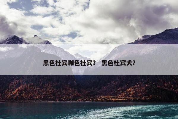 黑色杜宾咖色杜宾？ 黑色杜宾犬？