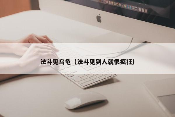 法斗见乌龟（法斗见到人就很疯狂）