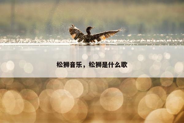 松狮音乐，松狮是什么歌