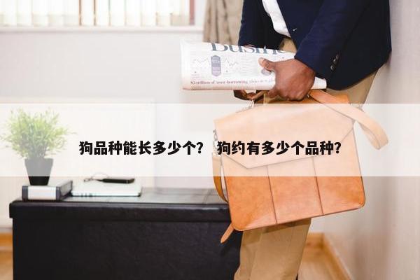 狗品种能长多少个？ 狗约有多少个品种？