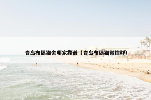 青岛布偶猫舍哪家靠谱（青岛布偶猫微信群）