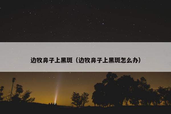 边牧鼻子上黑斑（边牧鼻子上黑斑怎么办）
