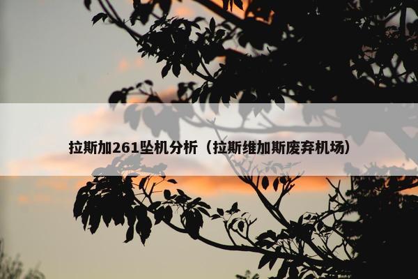 拉斯加261坠机分析（拉斯维加斯废弃机场）