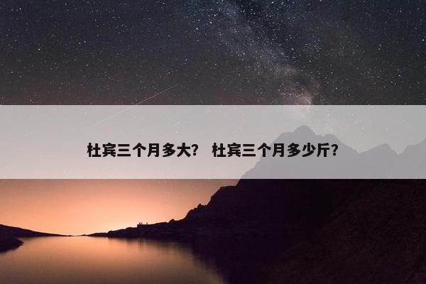 杜宾三个月多大？ 杜宾三个月多少斤？
