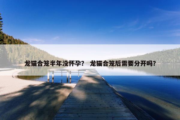 龙猫合笼半年没怀孕？ 龙猫合笼后需要分开吗？