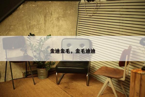 金迪金毛，金毛迪迪