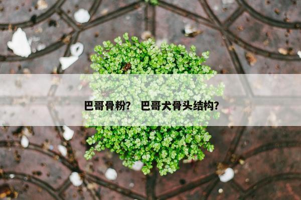 巴哥骨粉？ 巴哥犬骨头结构？