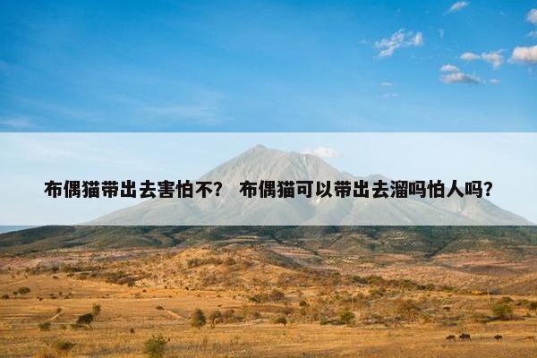 布偶猫带出去害怕不？ 布偶猫可以带出去溜吗怕人吗？