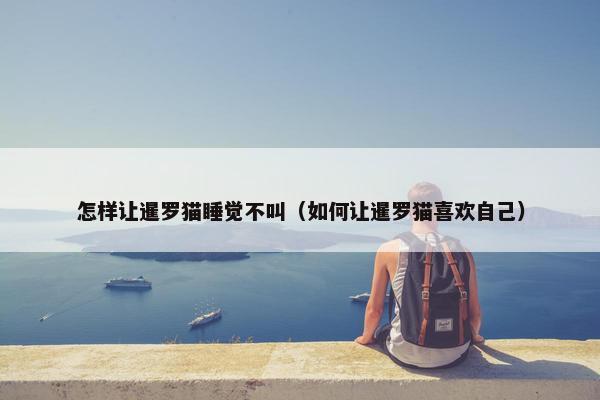 怎样让暹罗猫睡觉不叫（如何让暹罗猫喜欢自己）