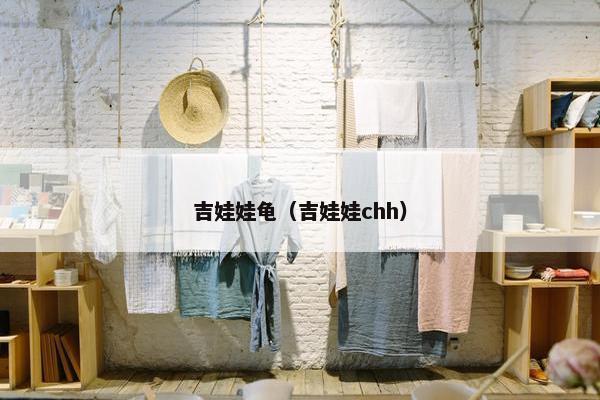 吉娃娃龟（吉娃娃chh）