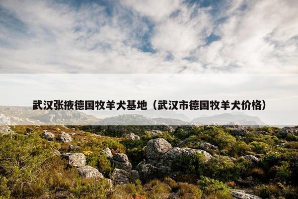 武汉张掖德国牧羊犬基地（武汉市德国牧羊犬价格）