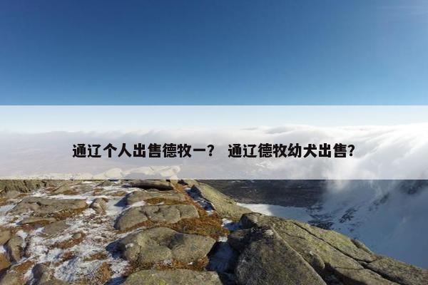 通辽个人出售德牧一？ 通辽德牧幼犬出售？