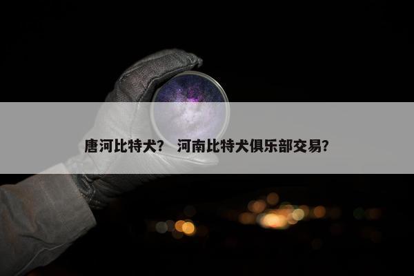 唐河比特犬？ 河南比特犬俱乐部交易？