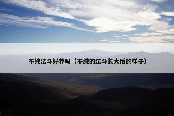 不纯法斗好养吗（不纯的法斗长大后的样子）