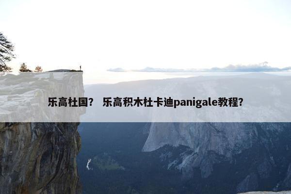 乐高杜国？ 乐高积木杜卡迪panigale教程？