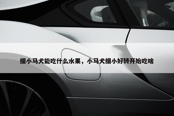 细小马犬能吃什么水果，小马犬细小好转开始吃啥