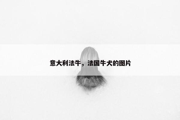 意大利法牛，法国牛犬的图片