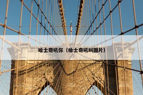 哈士奇吼你（哈士奇吼叫图片）