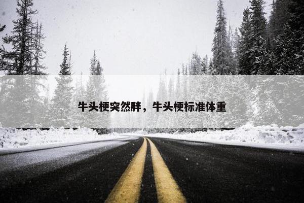 牛头梗突然胖，牛头梗标准体重