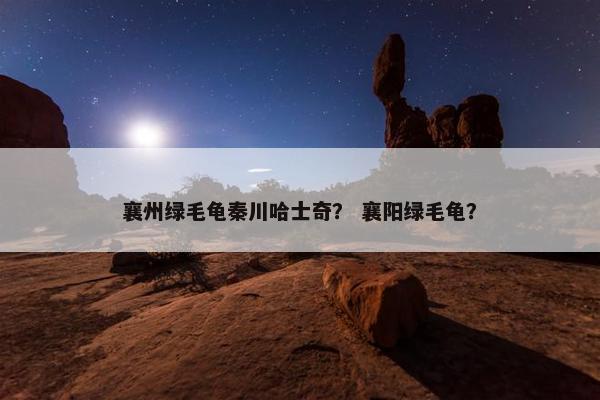 襄州绿毛龟秦川哈士奇？ 襄阳绿毛龟？
