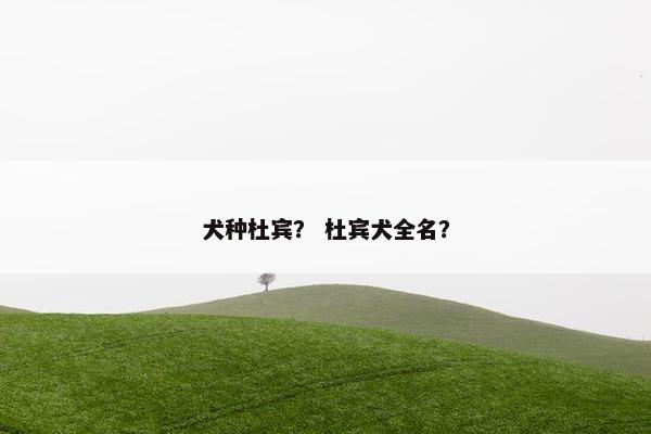 犬种杜宾？ 杜宾犬全名？