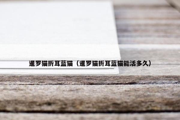 暹罗猫折耳蓝猫（暹罗猫折耳蓝猫能活多久）