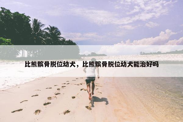 比熊髌骨脱位幼犬，比熊髌骨脱位幼犬能治好吗