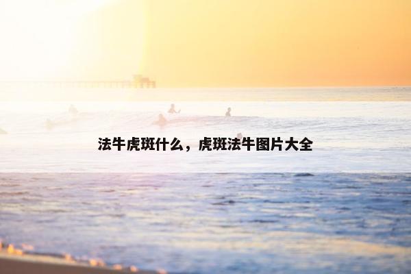 法牛虎斑什么，虎斑法牛图片大全