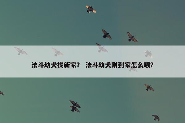 法斗幼犬找新家？ 法斗幼犬刚到家怎么喂？