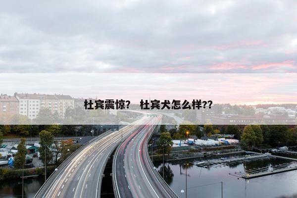 杜宾震惊？ 杜宾犬怎么样?？