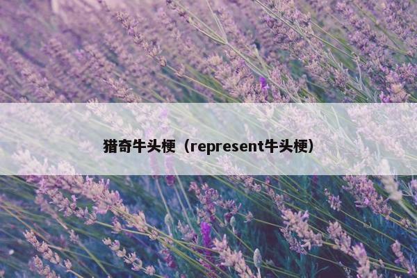 猎奇牛头梗（represent牛头梗）