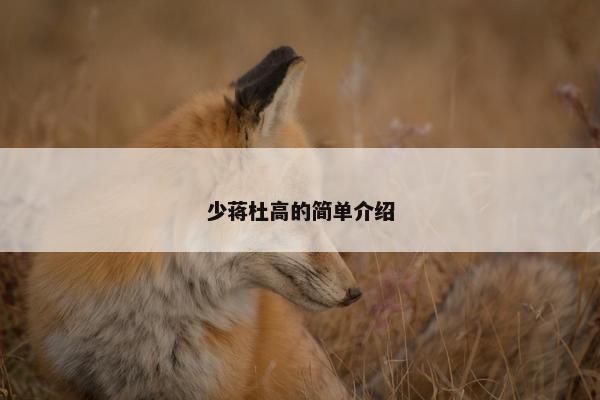 少蒋杜高的简单介绍