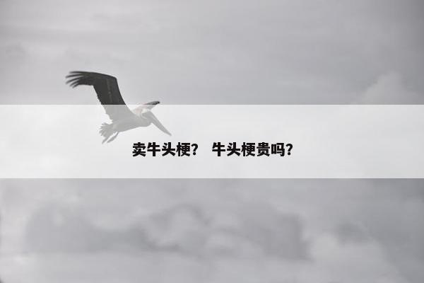 卖牛头梗？ 牛头梗贵吗？