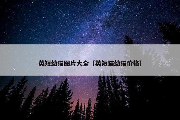 英短幼猫图片大全（英短猫幼猫价格）