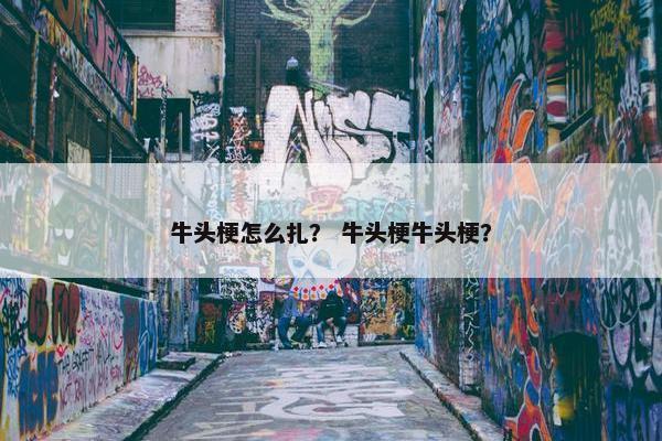 牛头梗怎么扎？ 牛头梗牛头梗？