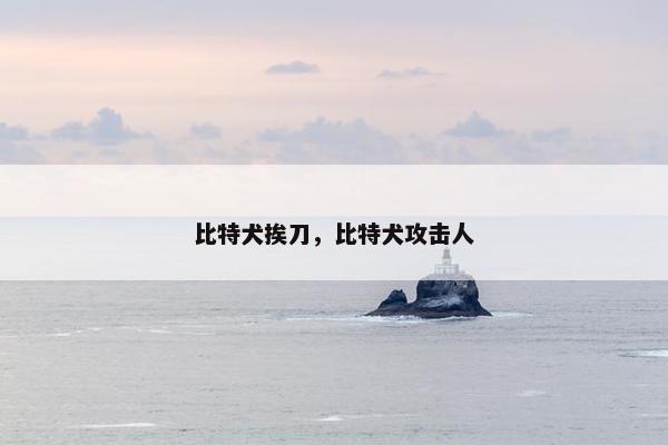 比特犬挨刀，比特犬攻击人