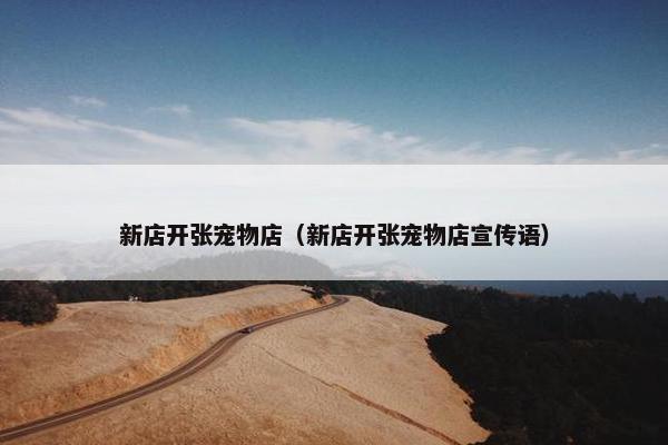 新店开张宠物店（新店开张宠物店宣传语）
