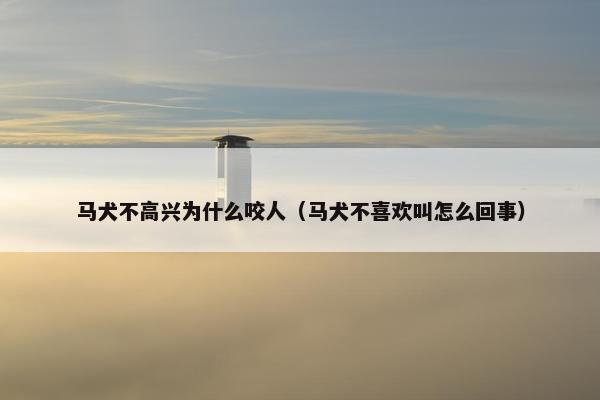 马犬不高兴为什么咬人（马犬不喜欢叫怎么回事）