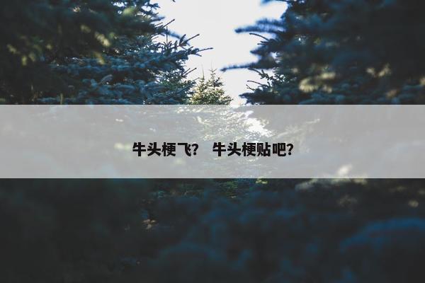 牛头梗飞？ 牛头梗贴吧？